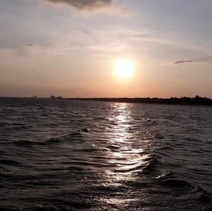 Meet your Posher, Lynn